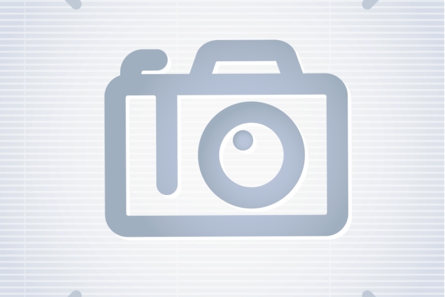 Skoda Fabia NJ 2014+
